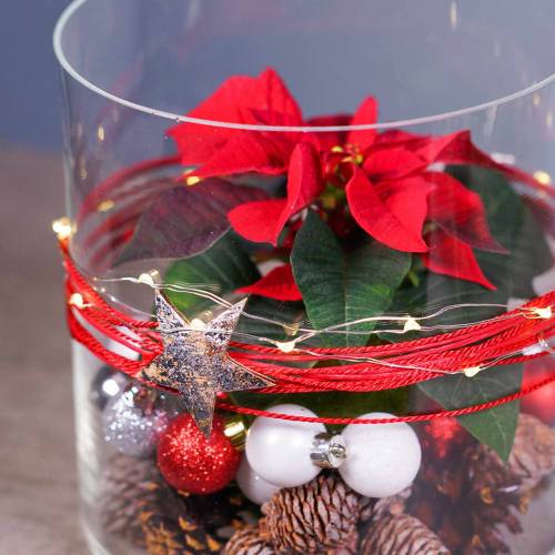 Floristik24 Kokosstjerne sølv 5cm 50stk borddekorasjon sølv Adventdekorasjonsstjerner