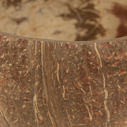 Floristik24 Kokosbolle naturlig dekorativ kokosbolle halvert 10cm 6 stk