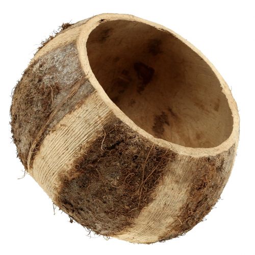 gjenstander Kokosnøtt skall naturlig 5stk