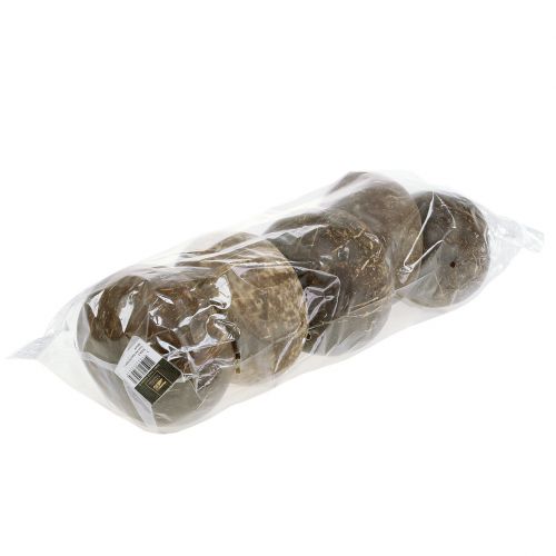 Floristik24 Kokosnøttskall polert naturell 5 stk