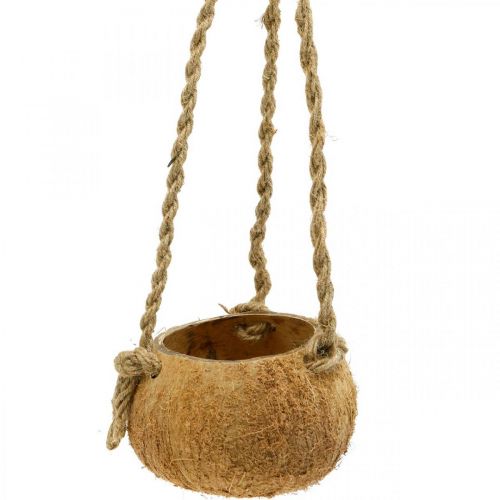 Floristik24 Hengende kokosbolle, naturlig planteskål, hengende kurv Ø8cm L55cm