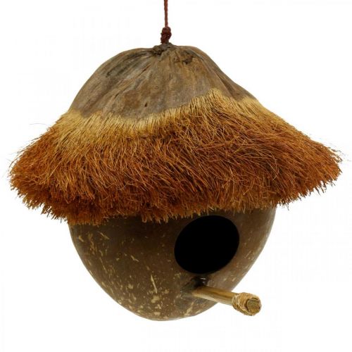 gjenstander Kokosnøtt som hekkekasse, fuglehus å henge, kokosdekorasjon Ø16cm L46cm