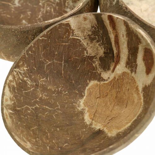 Floristik24 Kokos dekorativ bolle naturlig polert 6 stk