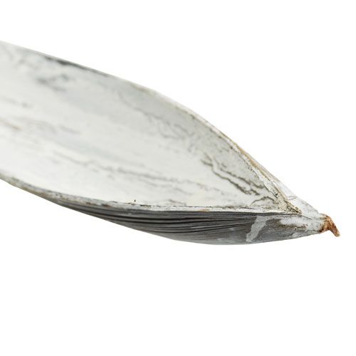 gjenstander Kokosnøttskall kokosblad vasket hvitt 60cm