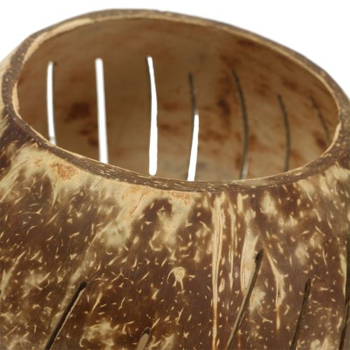 gjenstander Kokosnøtt skall polert med striper naturlig Ø12cm - Ø14cm 1p