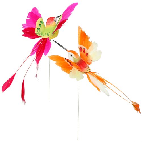 Floristik24 Kolibri på ledning for å feste rosa, oransje 17cm 6stk
