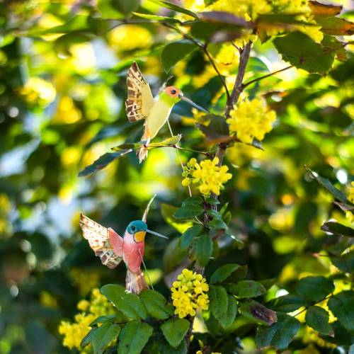 Floristik24 Hummingbird med wire 5,5cm L22cm assortert 12stk