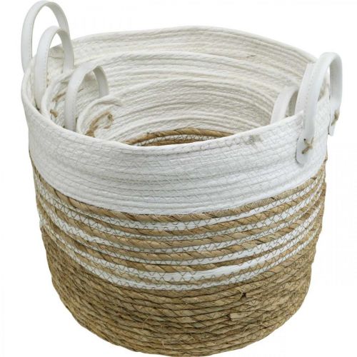 Floristik24 Kurv for planting, redskap med håndtak, organiser hvit, naturlig Ø32/28/23cm H30/25/19cm sett med 3