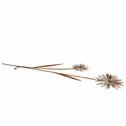 Floristik24 Hageplugg kornblomst patina metall hvit Ø10 / 15cm H66cm