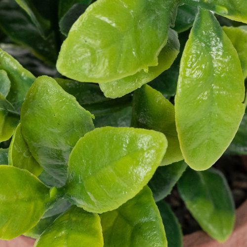 gjenstander Kunstig plante i blomsterpotte med realistisk tekstur for innendørs bruk og dekorasjon, 18 cm, 3 stk.