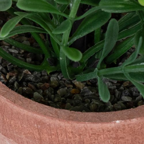 gjenstander Kunstig plante i blomsterpotte med realistisk tekstur for innendørs bruk og dekorasjon, 18 cm, 3 stk.