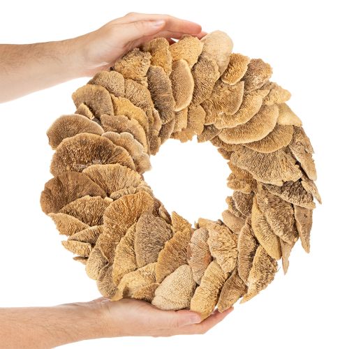 Krans av tresopp, naturlig farge, til dør- eller veggdekorasjon, 37 cm | Floristik24.no