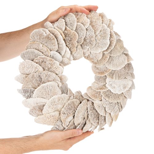Krans Tre Svamp Naturlig Dekorasjon 37cm | Floristik24.no