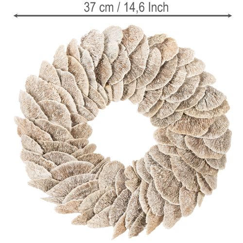 Krans Tre Svamp Naturlig Dekorasjon 37cm | Floristik24.no