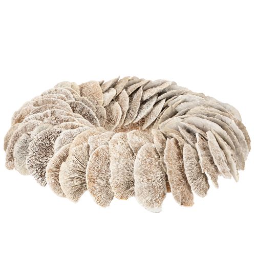 Krans Tre Svamp Naturlig Dekorasjon 37cm | Floristik24.no