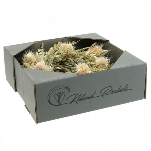 Floristik24 Tørkede blomsterkranser tistelgress korn Ø28cm