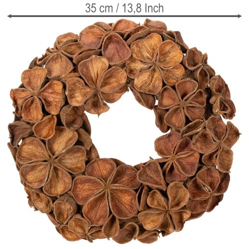 Tørket lotuskrans, dekorativ dørkrans, 35 cm | Floristik24.no