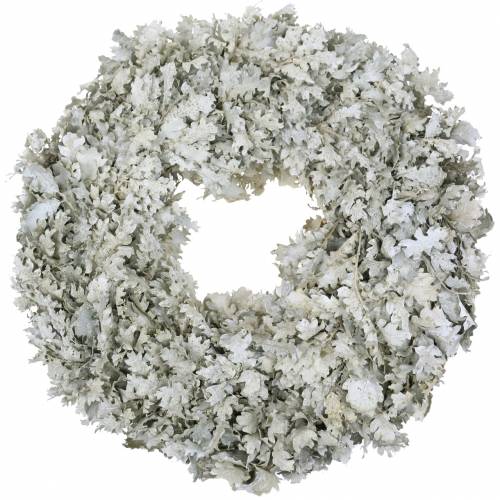 Floristik24 Krans av eikeblader vasket hvit Ø38cm