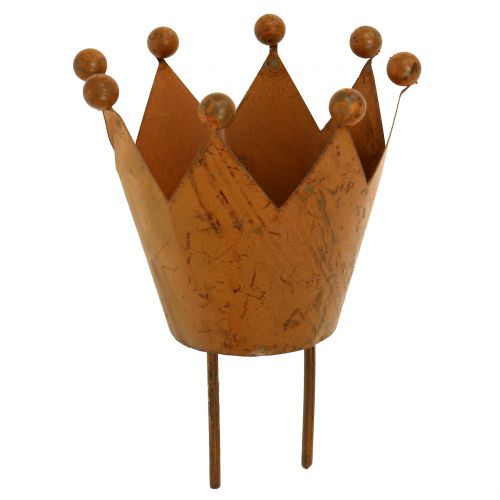 Floristik24 Lyktekrone for å plugge inn rist Ø4cm H7cm