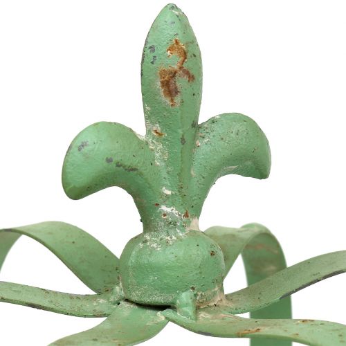 Floristik24 Krone Sink Ø19cm H23cm Grønn