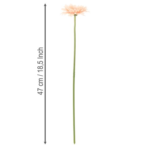 Kunstige Gerberablomster Aprikos 47cm 6 stk | Floristik24.no