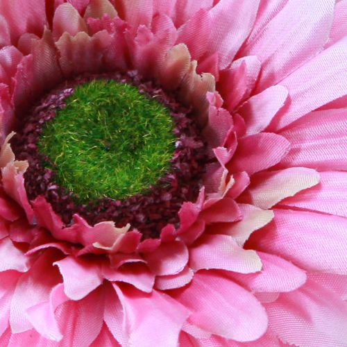 gjenstander Kunstige blomster Gerbera Hage Kunstige blomster Rosa 47cm