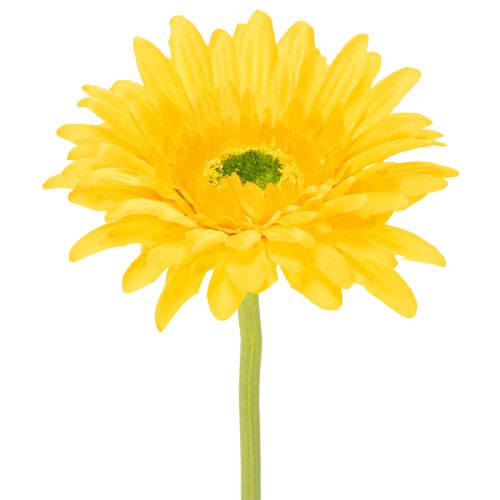 Kunstige gerberablomster, solgule, hageblomst, 47 cm, 6 stk. kjøpe | Floristik24.no