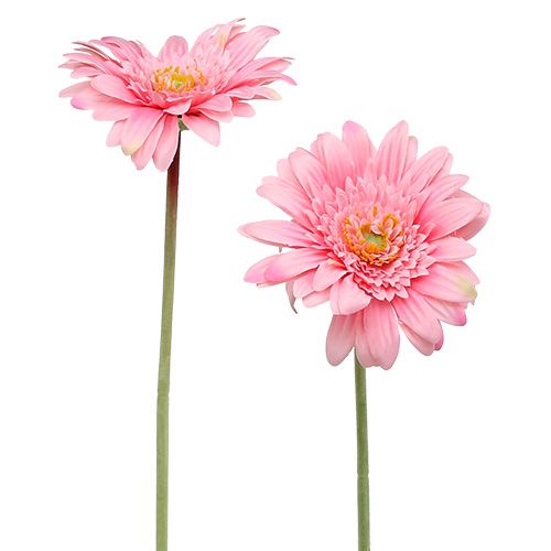 Floristik24 Kunstig gerbera rosa Ø10cm L53cm 6stk