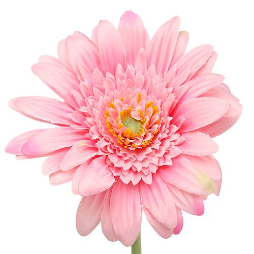 Floristik24 Kunstig gerbera rosa Ø10cm L53cm 6stk