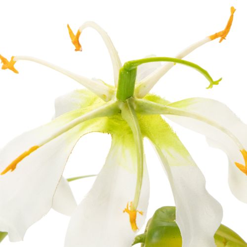 Kunstig Gloriosa-blomst, hvit og gul, elegant blomstrende gren til dekorasjon, 80 cm, 3 stk. | Floristik24.no