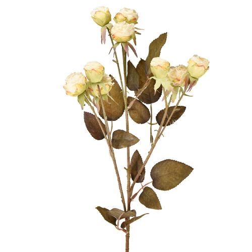 Kunstige roser visnet Drylook 9 kronblad krem 69cm