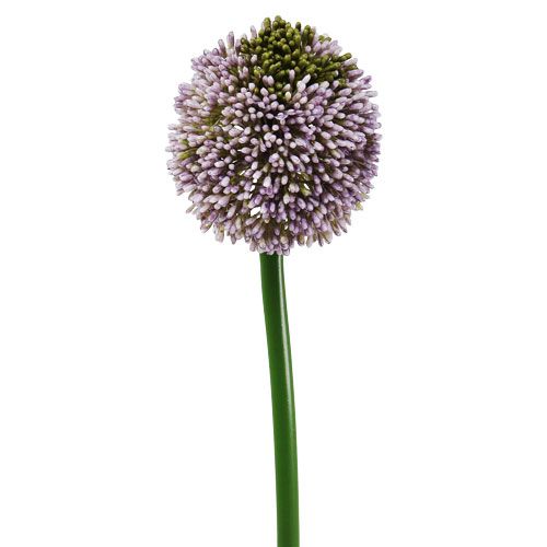 Floristik24 Kunstige blomster Allium Lilla Ø10cm L65cm