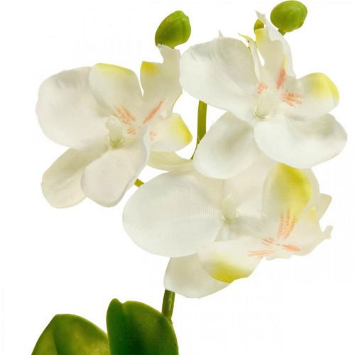 Floristik24 Kunstige orkideer Kunstig blomsterorkide hvit 20cm