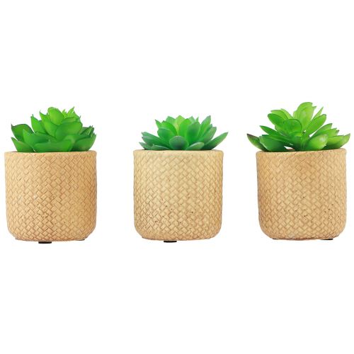 Kunstige sukkulenter i potte Kunstige planter Assortert 10cm 3stk
