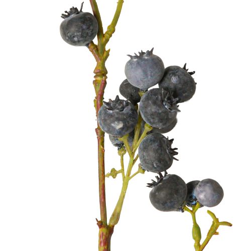 gjenstander Kunstig dekorativ gren med blåbærutseende