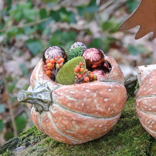 Floristik24 Gresskar til planting Appelsin 19×15×16cm