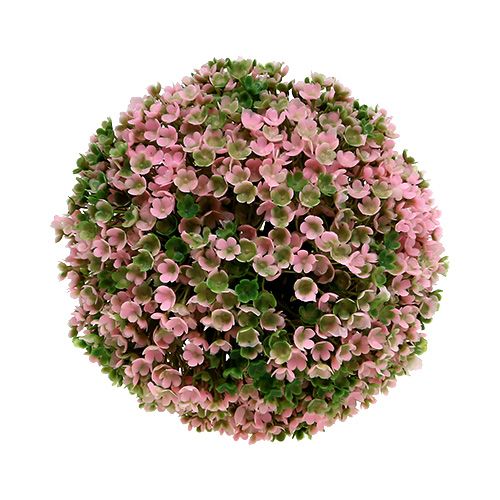 Floristik24 Dekorativ kule rosa grønn kuleplante Ø15cm 1 stk
