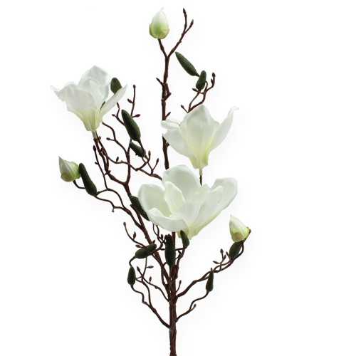 Floristik24 Kunstig magnolia grenkrem 90cm