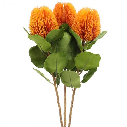 gjenstander Kunstige blomster, Banksia, Proteaceae Orange L58cm H6cm 3stk