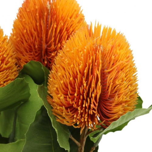 gjenstander Kunstige blomster, Banksia, Proteaceae Oransje L58cm H6cm 3 stk
