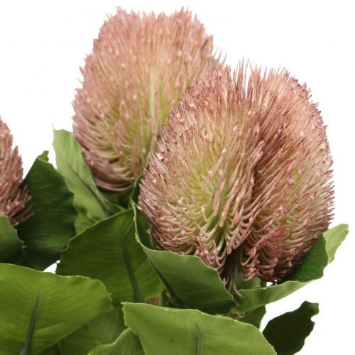 gjenstander Kunstige blomster, Banksia, Proteaceae Hvit-lilla L58cm H6cm