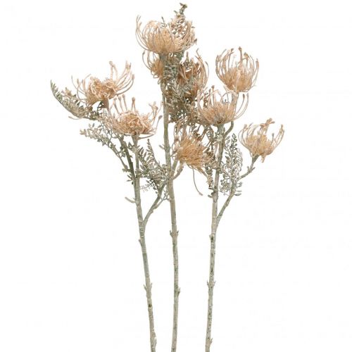 Floristik24 Kunstige blomster, Nåleputeblomst, Leucospermum, Proteaceae Vasket Hvit L58cm 3stk