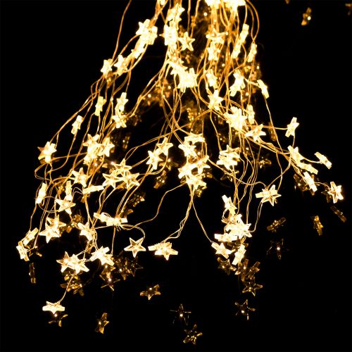 Floristik24 LED lys bunt stjerne for utvendig 320 1m sølv / varm hvit