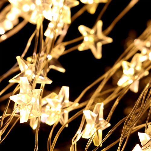 Floristik24 LED lys bunt stjerne for utvendig 320 1m sølv / varm hvit