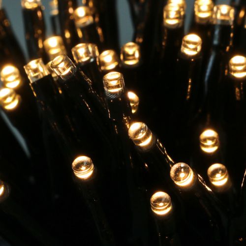 Floristik24 LED -kjede av lys 144 svart, varmhvit for utvendig 1,2 m