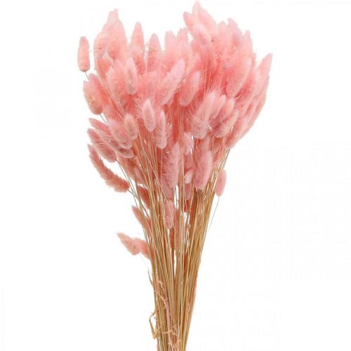 Lagurus tørket kaninhalegress lys rosa 65-70cm 100g