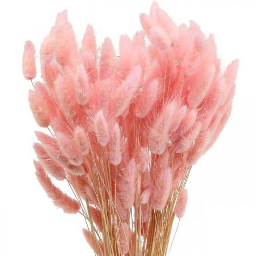 gjenstander Lagurus tørket kaninhalegress lys rosa 65-70cm 100g