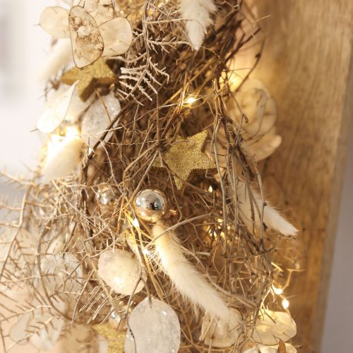 Tørkede blomster Lagurus Natural – fluffy kaninhalegress i kremhvit 55-70 cm 100 g | Floristik24.no