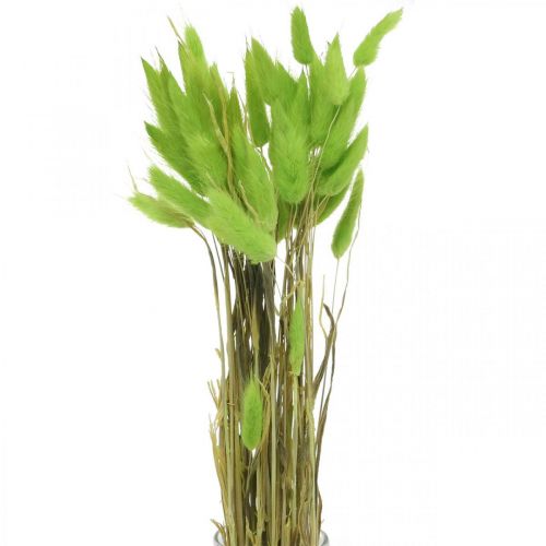 Fløyelsgressgrønn, lagurus, tørr dekorasjon, tørket søtt gress L18-50cm 25g