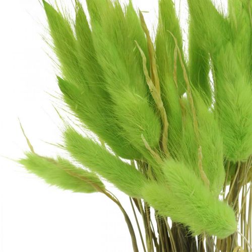 Fløyelsgressgrønn, lagurus, tørr dekorasjon, tørket søtt gress L18-50cm 25g